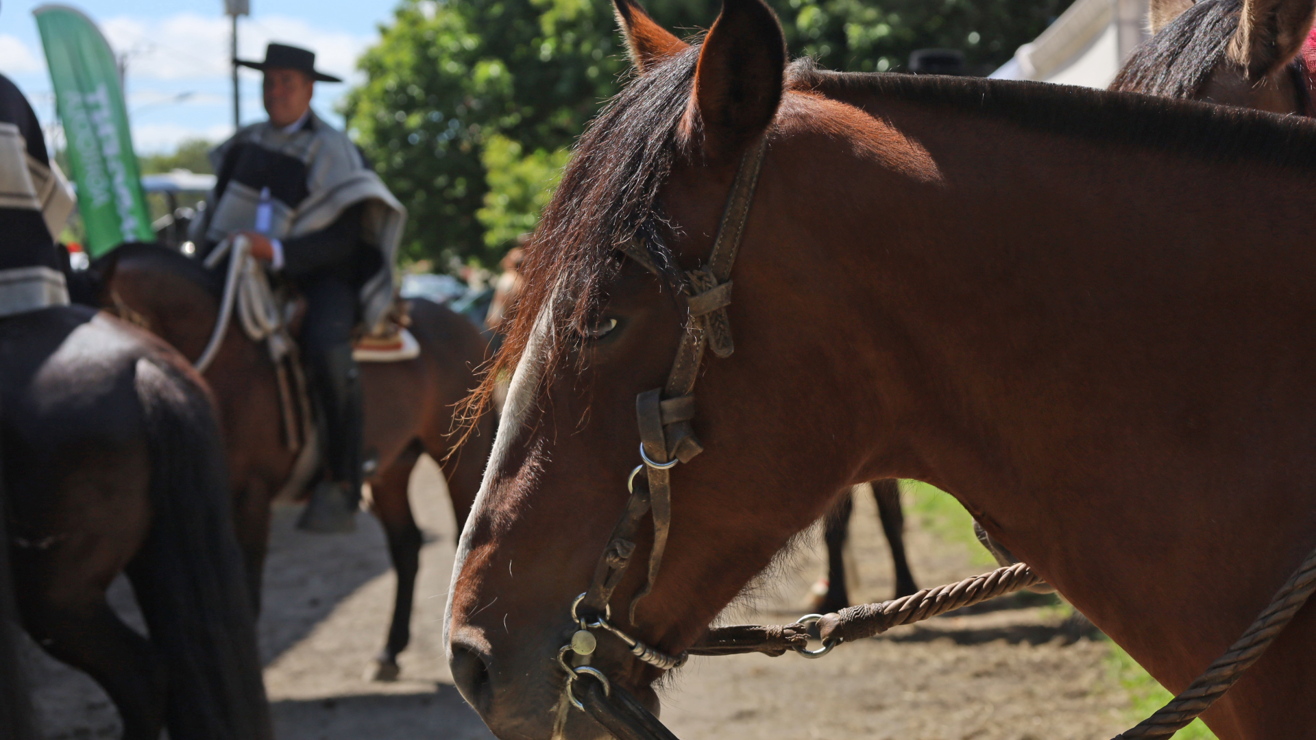 CCSS activa plan de emergencia por Tope Nacional en San Ramón